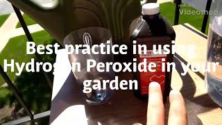 Best practice in using Hydrogen Peroxide in your garden [upl. by Abbot]