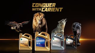 PSO  Conquer With Carient [upl. by Nimajnab]