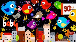 FALL BIRDS IN FLIGHT FUN  BABY SENSORY  HIGH CONTRAST [upl. by Alviani]