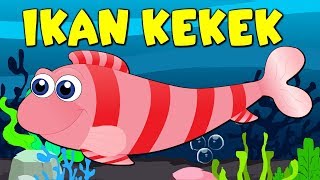 Lagu Kanak Melayu Malaysia  IKAN KEKEK MAK ILOI ILOI [upl. by Handbook531]