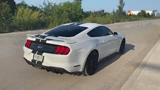 2019 Mustang GT 10R80 with Steeda HPipe installed [upl. by Mcgean]