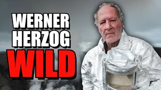 The Wildest Director Ever  Werner Herzog [upl. by Orabla608]