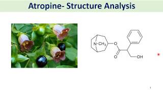 Structure elucidation of Atropine [upl. by Yelnoc]