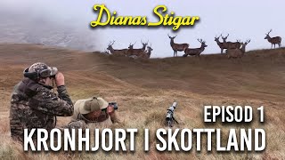 Kronhjort i Skottland Episod 1 Jaktlust extended version [upl. by Riegel]