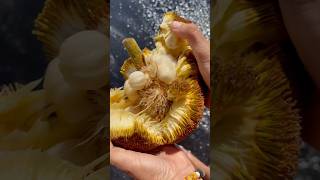 opening a rare MARANG fruit [upl. by Arret]