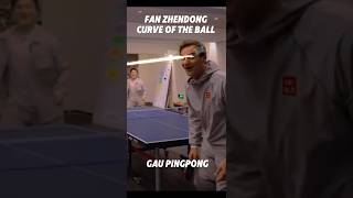 Fan Zhendong curve of the ball tabletennis tischtennis pingpong spin curveballs fanzhendong [upl. by Donnie4]