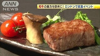 和牛の魅力を欧州に！ロンドンで試食イベント140624 [upl. by Lovel656]