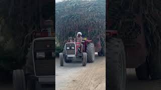 tractor high lord 💨 pindanwale youtubeshorts farming fullwatching subscribemychannel [upl. by Stevens828]