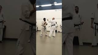 Perfect Mawashi Geri Round house Kick in Kyokushin Karate [upl. by Ellette]