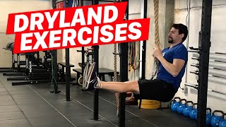 Dryland Exercises for Swimmers [upl. by Cynara]