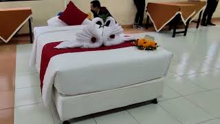 HOUSEKEEPING BED CONTEST LOVELY SWAN [upl. by Elbert]