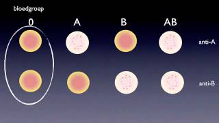 T 133 Bloed en orgaandonaties biocast [upl. by Aurelio]