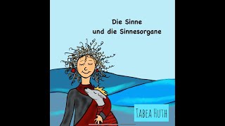 Die Sinne und die Sinnesorgane [upl. by Goldshell]