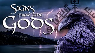 Norse Paganism  How to Interpret Signs from the Gods [upl. by Young]