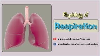 Easy Physiology  Respiration  1Diffusion of Gases [upl. by Heron232]