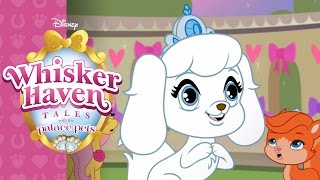 Throwing a Ball  Whisker Haven Tales with the Palace Pets  Disney Junior [upl. by Grimbald]