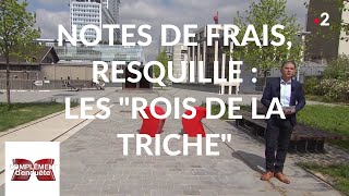 Complément denquête Notes de frais resquille  les quotrois de la trichequot  18 avril 2019 France 2 [upl. by Blynn588]