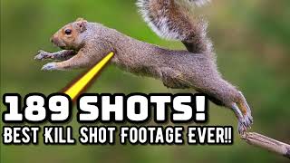 The BEST Squirrel Hunting Footage Trust me you have time [upl. by Breana]