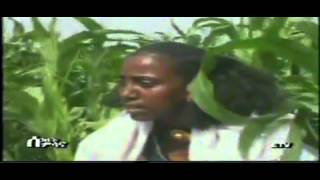 Ethiopian traditional Raya Music quotbesolaquot [upl. by Noramac]