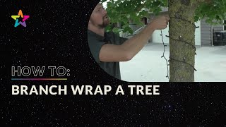 Christmas Lighting Tips  How To Branch Wrap A Tree [upl. by Miharbi]