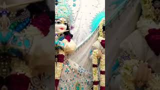 trending viralbhakti shorts video जय श्री राधाकृष्णा 🙏🙏🙏🙏🙏🙏subscribe 🙏🙏🙏 [upl. by Rairb385]