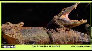 Amazzonia  Trailer italiano ufficiale  Al cinema dal 2303 [upl. by Dleifyar348]