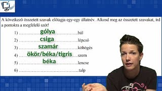 Összetett szavak a központi felvételi feladatokban [upl. by English]