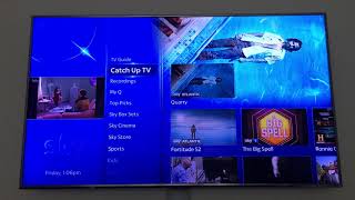 Sky Q Mini Multiroom Viewing [upl. by Eycats]