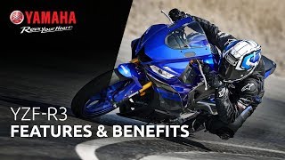 2019 Yamaha R3 Features amp Benefits [upl. by Ranip]