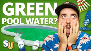 How to Get Rid of POOL ALGAE Green Water [upl. by Essilem]