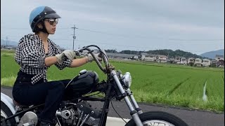 【 Japanese bikegirl 】Harley Davidson [upl. by Gytle]