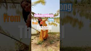 Hailessa hailessa saipallavi danceTandel movie song [upl. by Hras129]