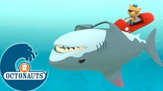 Octonauts  Le requin incompris  Dessins animés pour enfants [upl. by Inaliel692]