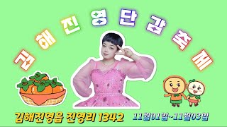 11월2일 토요일 2부 진영단감축제 동동구루무 다홍이품바 당진삽교호 드론쇼 [upl. by Nalniuq]