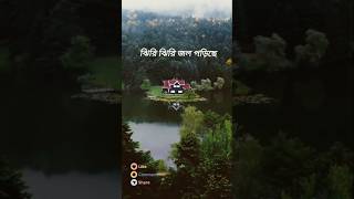 Jiri jiri jal parecha 2024song jhumardjsong trendingsong ovarvu [upl. by Yltnerb279]