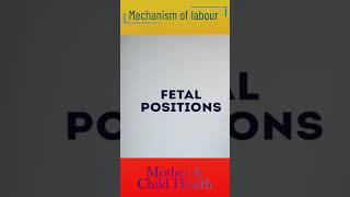 Mechanism of Labour [upl. by Aretina]