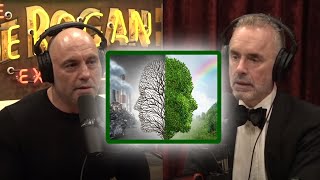 Best Way To Help The Environment  Jordan Peterson on Joe Rogan Podcast [upl. by Pollie]