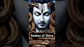 The Mysterious Snakes of Shiva Symbols of Fear Time and Power [upl. by Harbour]