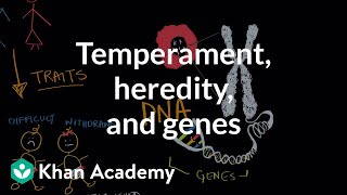 Temperament heredity and genes  Behavior  MCAT  Khan Academy [upl. by Nnayt]