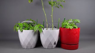 DIY Automatic Plant Watering System [upl. by Ursel]