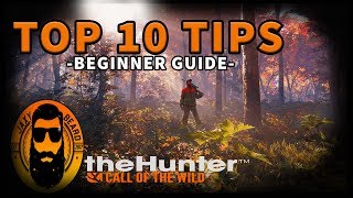 TOP 10 BEST TIPS amp TRICKS FOR BEGINNERS in THE HUNTER Call of the Wild [upl. by Heisser]