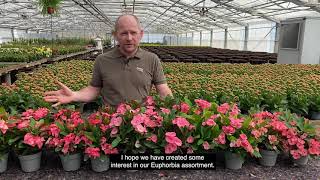 Euphorbia Highlights 2021 [upl. by Calendre]