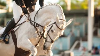 Horse Jumping Video  Symphony [upl. by Crissy]