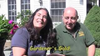 Gardeners Gold quotThe Worlds Best Potting Soilquot [upl. by Bultman192]