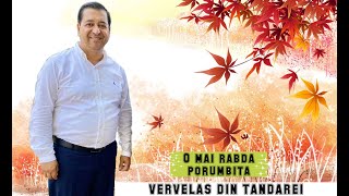 Vervelas Din Tandarei  O Mai Rabda Porumbita  Video Official 2021 [upl. by Llertnek]