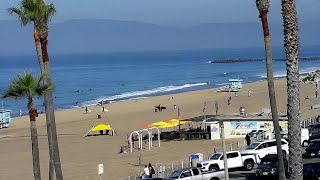 Live Hurricane Beach Webcam Destin Florida [upl. by Sauncho]