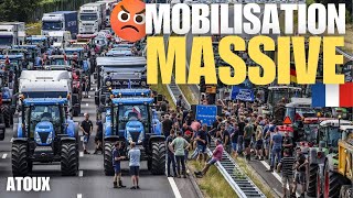 Une mobilisation massive comme on pourrait bientôt la voir en France  🚜🔥 agriculteursencolere [upl. by Naitsihc]