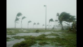 Live Video Footage of Hurricane Maria in Dominica  Hurricane Maria 2017 Live Video [upl. by Yale]