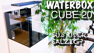 WaterBox Cube 20  süß oder salzig [upl. by Ahsirk304]