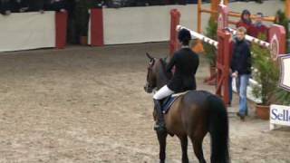 ♂ Balou du Rouet jumping stallion Old by Baloubet du Rouet [upl. by Skolnik]